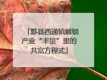 黟县西递镇解锁产业“丰景”里的共富方程式
