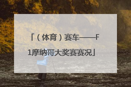 （体育）赛车——F1摩纳哥大奖赛赛况