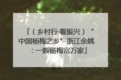 （乡村行·看振兴）“中国杨梅之乡”浙江余姚：一颗杨梅富万家