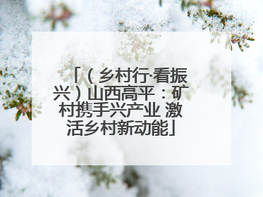 （乡村行·看振兴）山西高平：矿村携手兴产业 激活乡村新动能