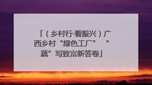 （乡村行·看振兴）广西乡村“绿色工厂” “蔬”写致富新答卷