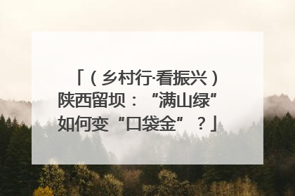 （乡村行·看振兴）陕西留坝：“满山绿”如何变“口袋金”？