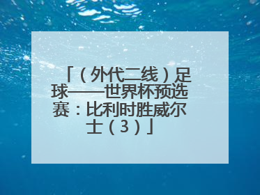 （外代二线）足球——世界杯预选赛：比利时胜威尔士（3）