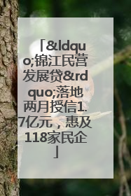 “锦江民营发展贷”落地两月授信1.7亿元，惠及118家民企