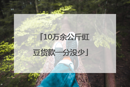10万余公斤豇豆货款一分没少