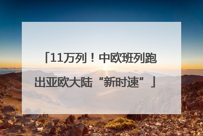 11万列！中欧班列跑出亚欧大陆“新时速”