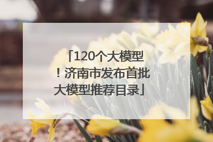 120个大模型！济南市发布首批大模型推荐目录
