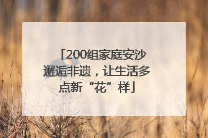 200组家庭安沙邂逅非遗，让生活多点新“花”样