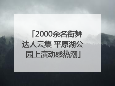 2000余名街舞达人云集 平原湖公园上演动感热潮