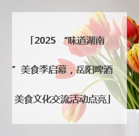 2025 “味道湖南”美食季启幕，岳阳啤酒美食文化交流活动点亮