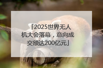 2025世界无人机大会落幕，意向成交额达200亿元