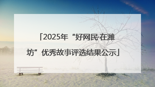 2025年“好网民·在潍坊”优秀故事评选结果公示