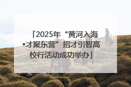 2025年“黄河入海•才聚东营”招才引智高校行活动成功举办