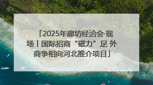 2025年廊坊经洽会·现场丨国际招商“磁力”足 外商争相向河北推介项目