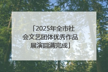 2025年全市社会文艺团体优秀作品展演圆满完成