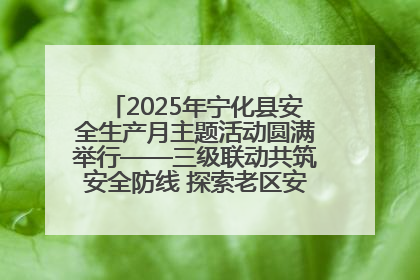 2025年宁化县安全生产月主题活动圆满举行——三级联动共筑安全防线 探索老区安全发展新路径