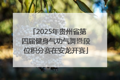 2025年贵州省第四届健身气功气舞暨段位积分赛在安龙开赛