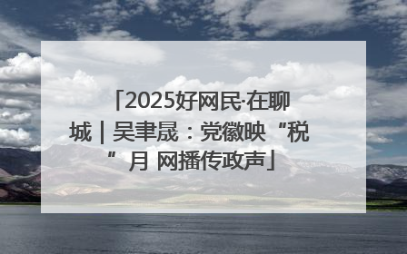 2025好网民·在聊城｜吴聿晟：党徽映“税”月 网播传政声