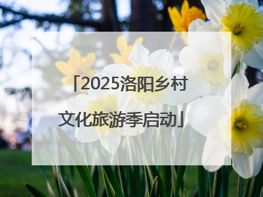 2025洛阳乡村文化旅游季启动