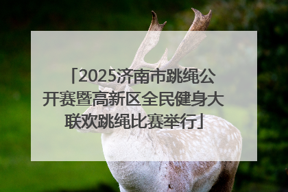 2025济南市跳绳公开赛暨高新区全民健身大联欢跳绳比赛举行