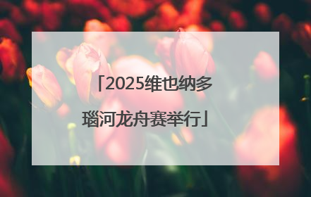 2025维也纳多瑙河龙舟赛举行