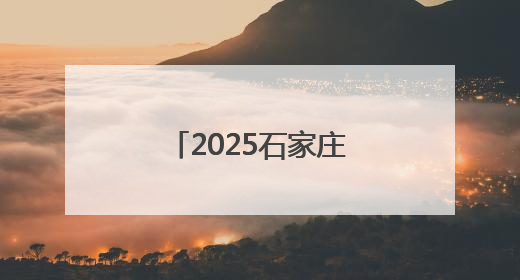 2025石家庄市龙舟大赛开赛