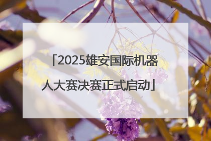 2025雄安国际机器人大赛决赛正式启动