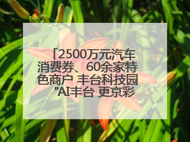 2500万元汽车消费券、60余家特色商户 丰台科技园“AI丰台 更京彩”未来玩家市集活动正式开幕