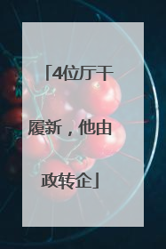 4位厅干履新，他由政转企