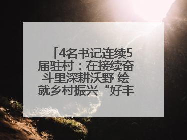 4名书记连续5届驻村：在接续奋斗里深耕沃野 绘就乡村振兴“好丰景”——浦发银行南京分行助力脱贫攻坚、帮促乡村振兴记事（二）