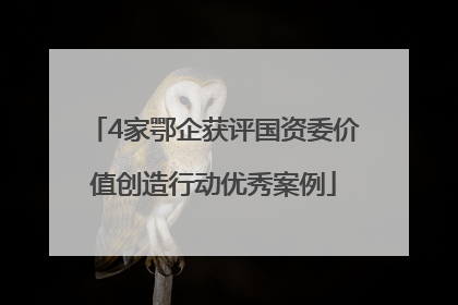 4家鄂企获评国资委价值创造行动优秀案例