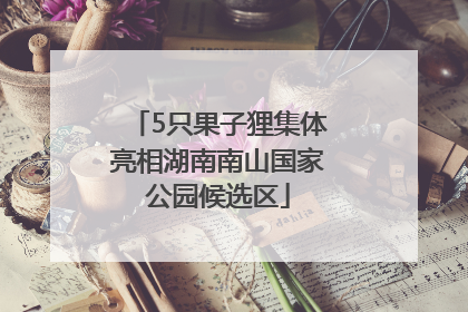 5只果子狸集体亮相湖南南山国家公园候选区