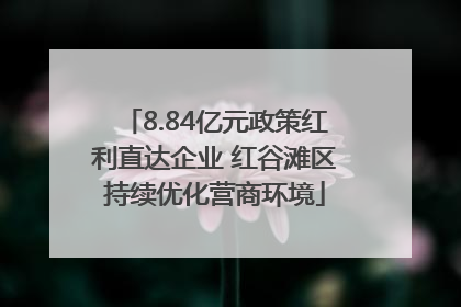 8.84亿元政策红利直达企业 红谷滩区持续优化营商环境