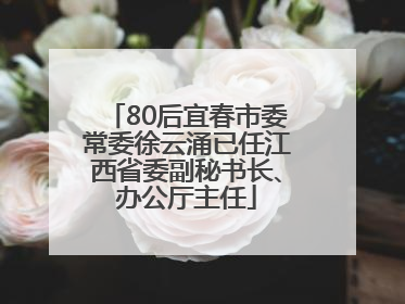 80后宜春市委常委徐云涌已任江西省委副秘书长、办公厅主任