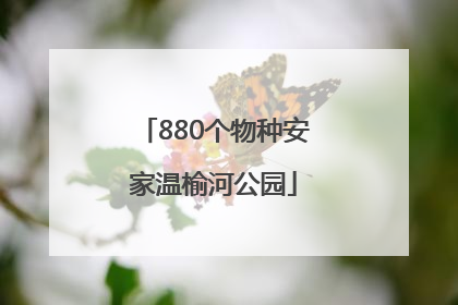 880个物种安家温榆河公园