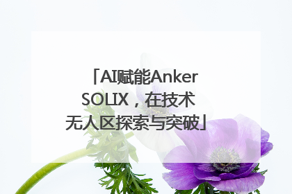 AI赋能Anker SOLIX，在技术无人区探索与突破