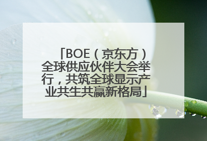 BOE（京东方）全球供应伙伴大会举行，共筑全球显示产业共生共赢新格局