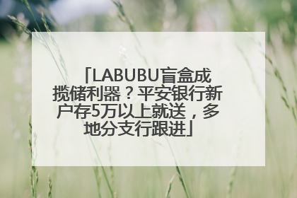 LABUBU盲盒成揽储利器？平安银行新户存5万以上就送，多地分支行跟进