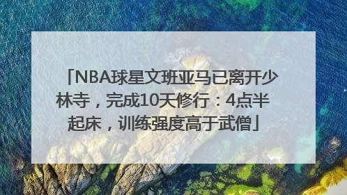 NBA球星文班亚马已离开少林寺，完成10天修行：4点半起床，训练强度高于武僧