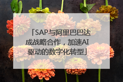 SAP与阿里巴巴达成战略合作，加速AI驱动的数字化转型