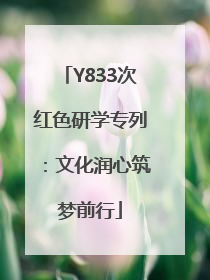 Y833次红色研学专列：文化润心筑梦前行